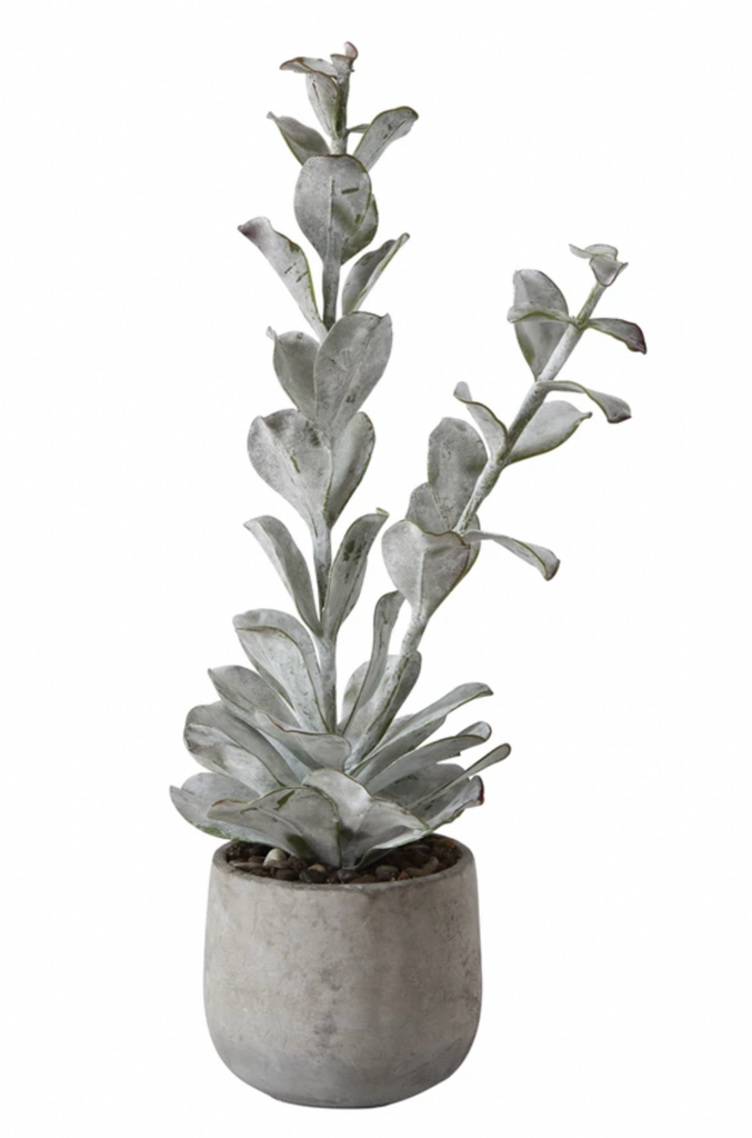 ROUND FAUX SUCCULENT IN  CEMENT POT- IN STORE PICK UP ONLY!