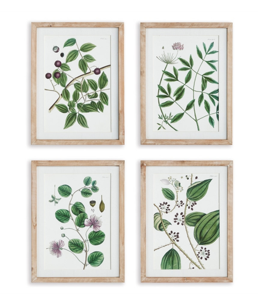 VERDANT BRANCH PRINTS - 4 STYLES AVAILABLE - IN STORE PICK UP ONLY!