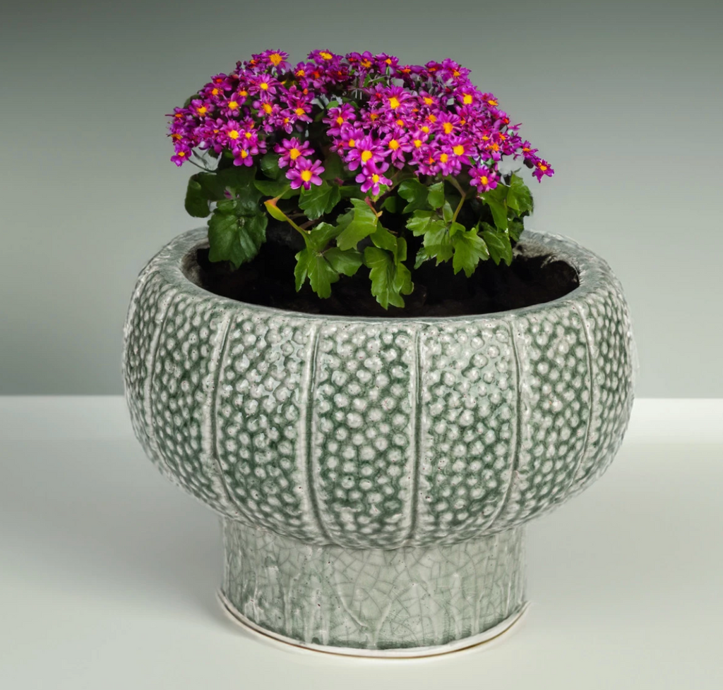 EMBOSSED TERRA-COTTA FOOTED VASE/PLANTER WITH DOT PATTERN - IN STORE PICK UP ONLY!
