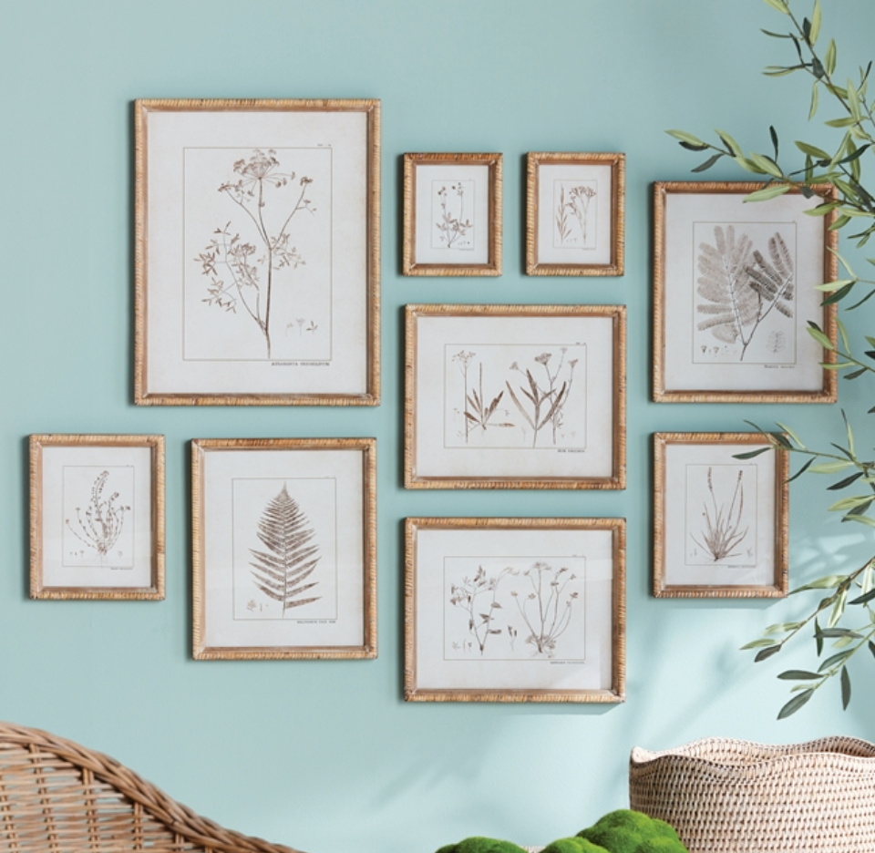 BOTANICAL STUDY IN SEPIA - 9 STYLES AVAILABLE - IN STORE PICK UP ONLY!