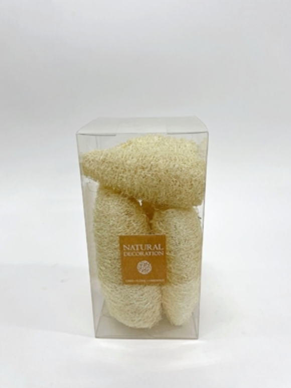 DRIED NATURAL BOTANICALS IN BOX - WHITE BLEACHED