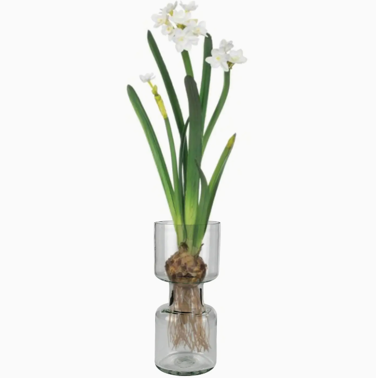 SPRY GLASS BULB VASE