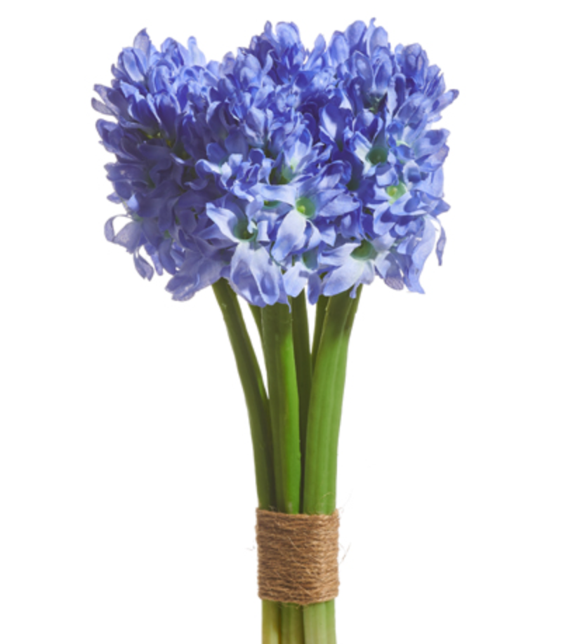 PURPLE HYACINTH BUNDLE