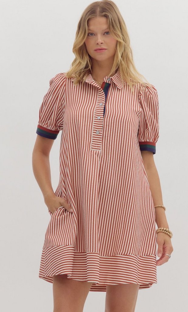 PUFF SLEEVE STRIPE DRESS - BRICK