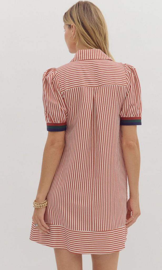 PUFF SLEEVE STRIPE DRESS - BRICK