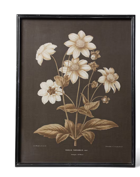 GARDEN FLORAL BOTANICAL FRAMED PRINT - 2 STYLES - IN STORE PICK UP ONLY!