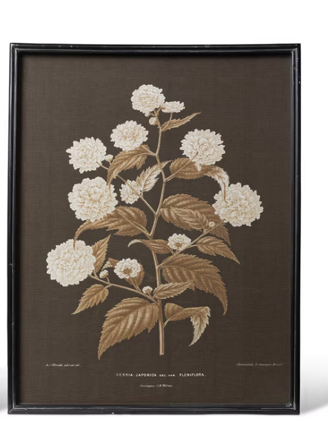 GARDEN FLORAL BOTANICAL FRAMED PRINT - 2 STYLES - IN STORE PICK UP ONLY!