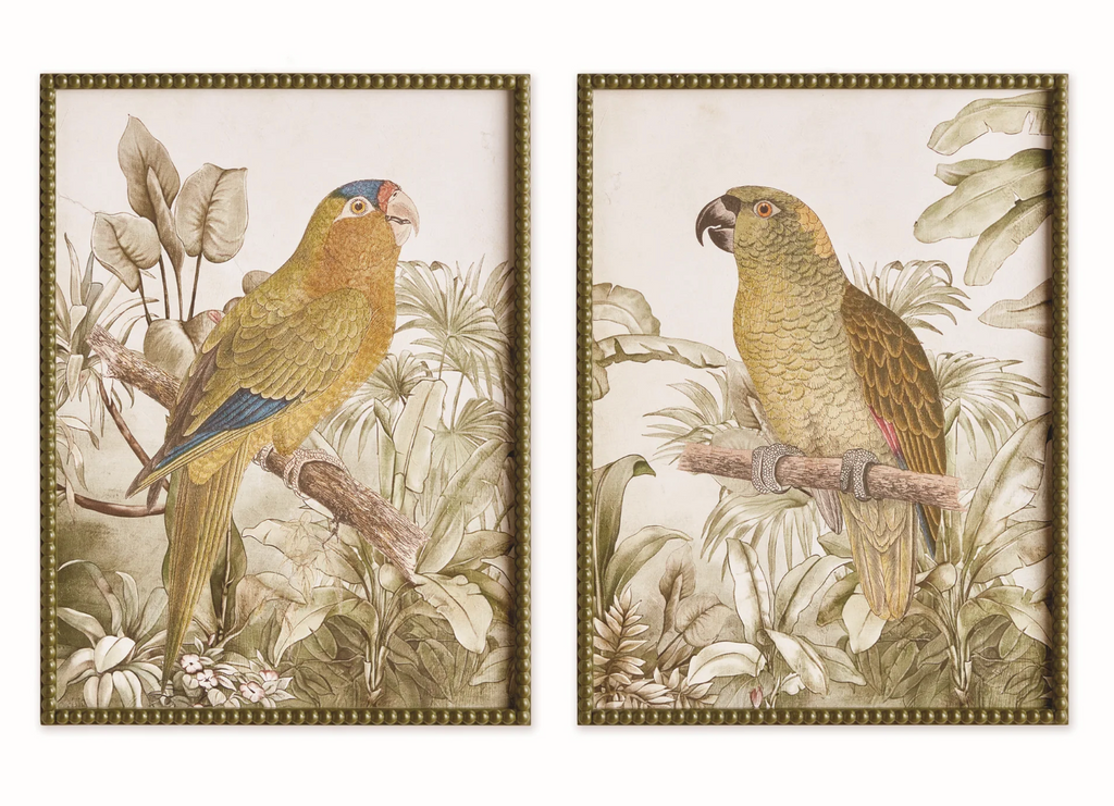TROPICAL PARROT PRINTS - IN STORE PICK UP ONLY!