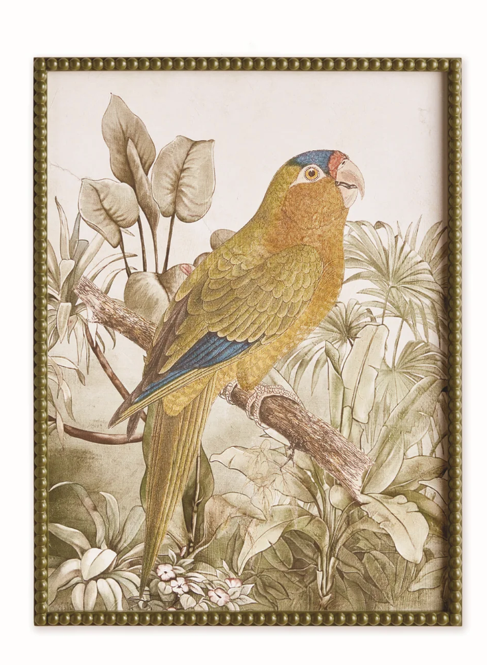 TROPICAL PARROT PRINTS - IN STORE PICK UP ONLY!