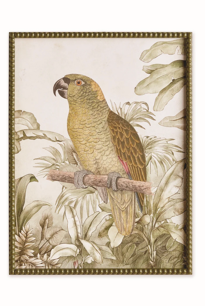 TROPICAL PARROT PRINTS - IN STORE PICK UP ONLY!