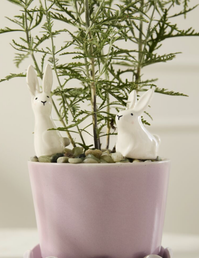 THUMPER PLANTS STICKS - SET OF 2