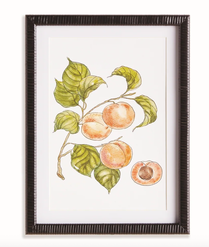 AUTUMNAL FRUIT PRINTS - IN STORE PICK UP ONLY!
