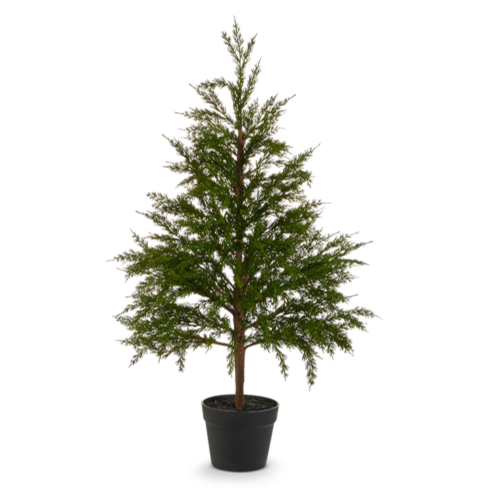 36" CEDAR TREE - IN STORE PICK UP ONLY