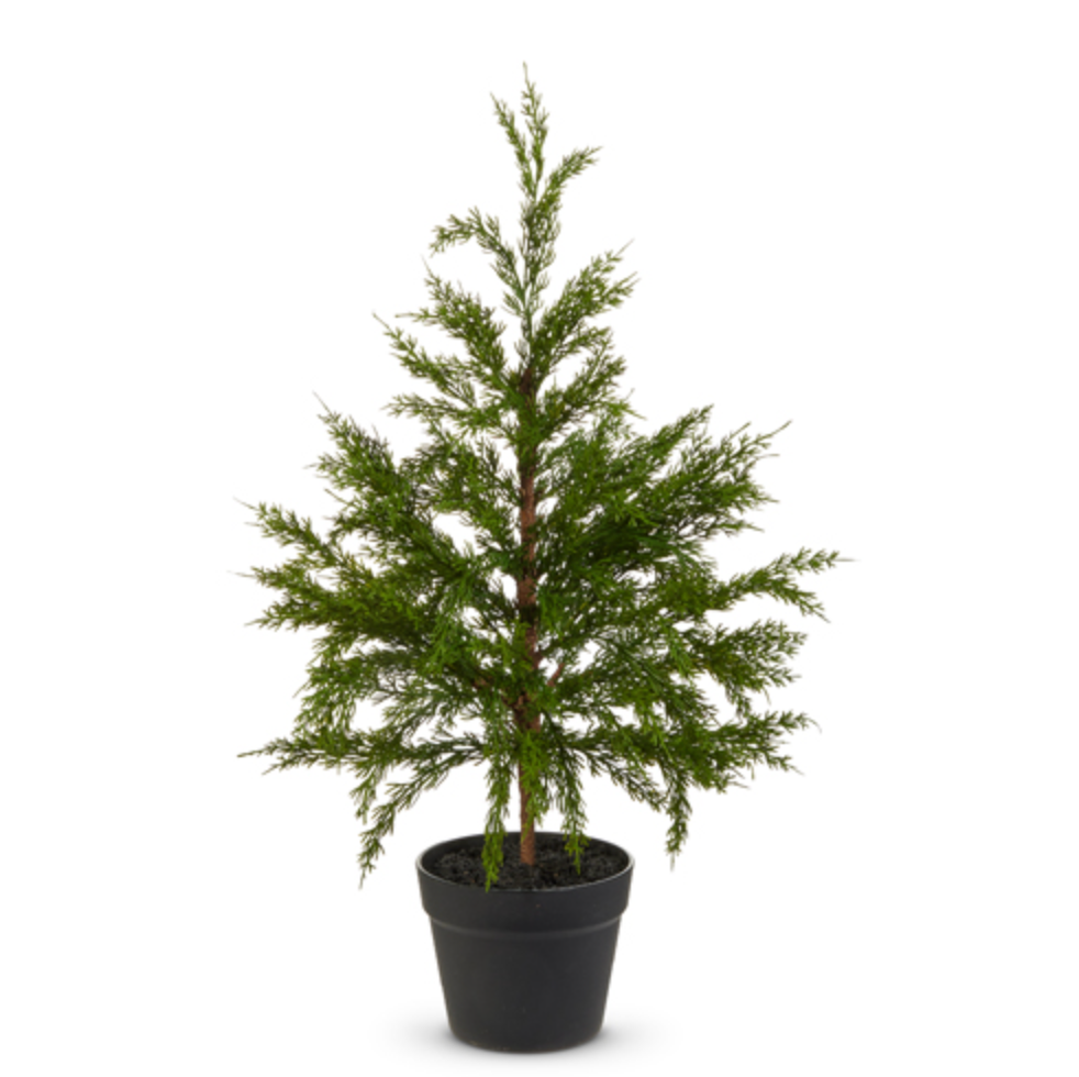 27" CEDAR TREE - IN STORE PICK UP ONLY