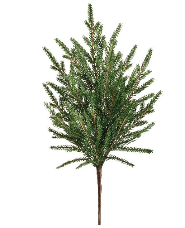 18" SOFT CYPRESS PICK - IN STORE PICK UP ONLY