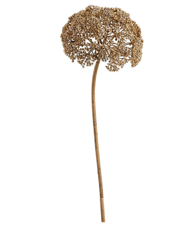 31" YARROW SPRAY - IN STORE PICK UP ONLY