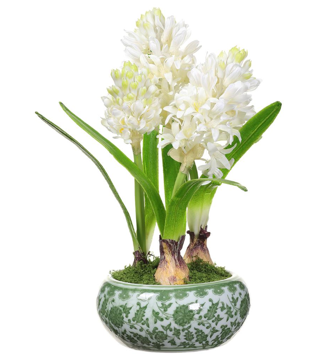 14" HYACINTH IN CERAMIC VASE - IN STORE PICK UP ONLY