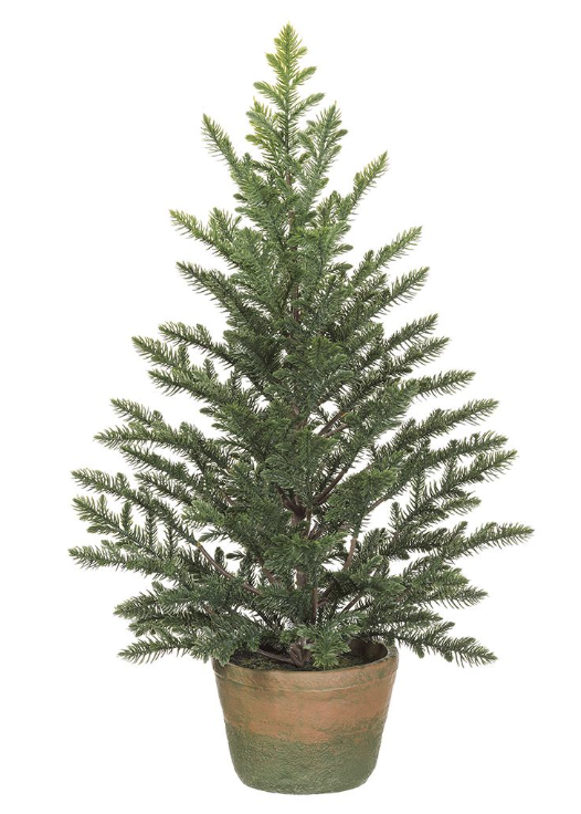 25" PINE TREE IN CLAY POT - IN STORE PICK UP ONLY