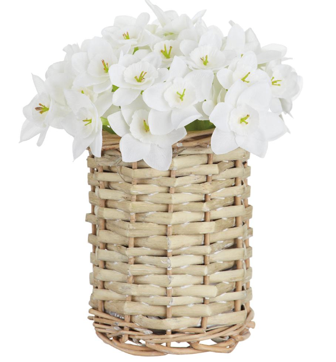 7" PAPERWHITE IN BASKET