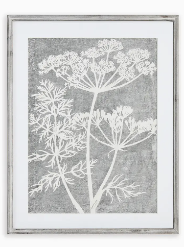 BLOOMING QUEEN ANNE'S LACE PRINTS