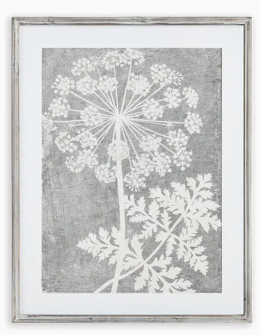 BLOOMING QUEEN ANNE'S LACE PRINTS