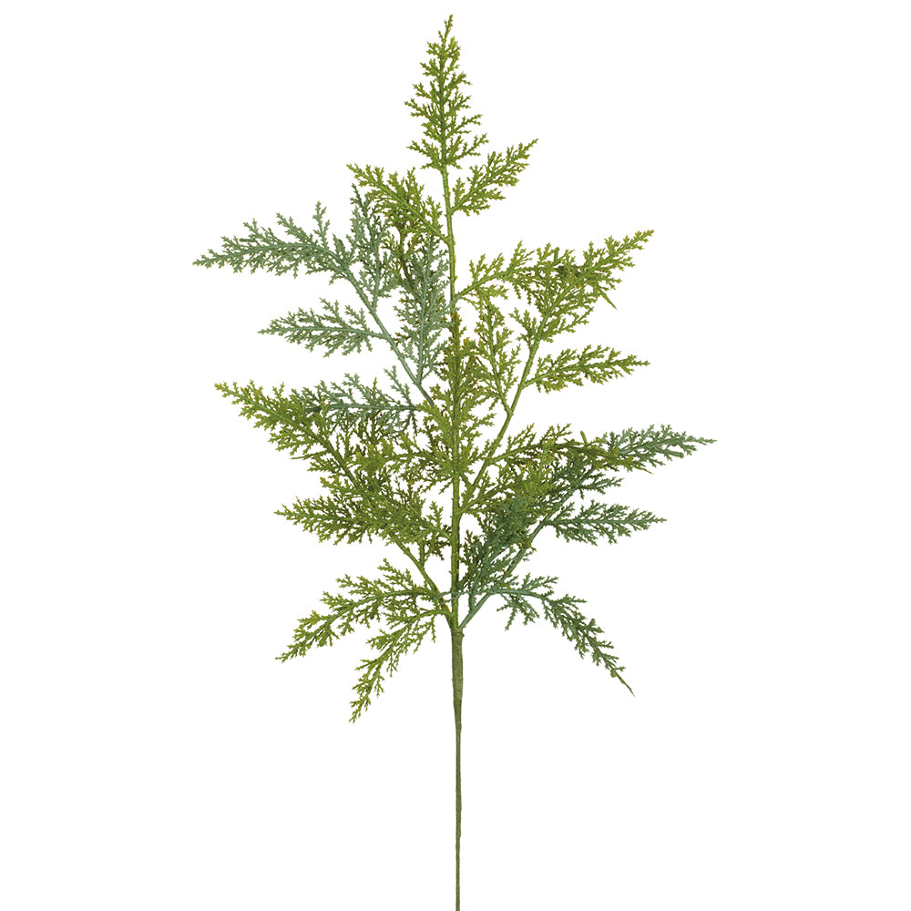 25" SOFT CEDAR SPRAY - IN STORE PICK UP ONLY