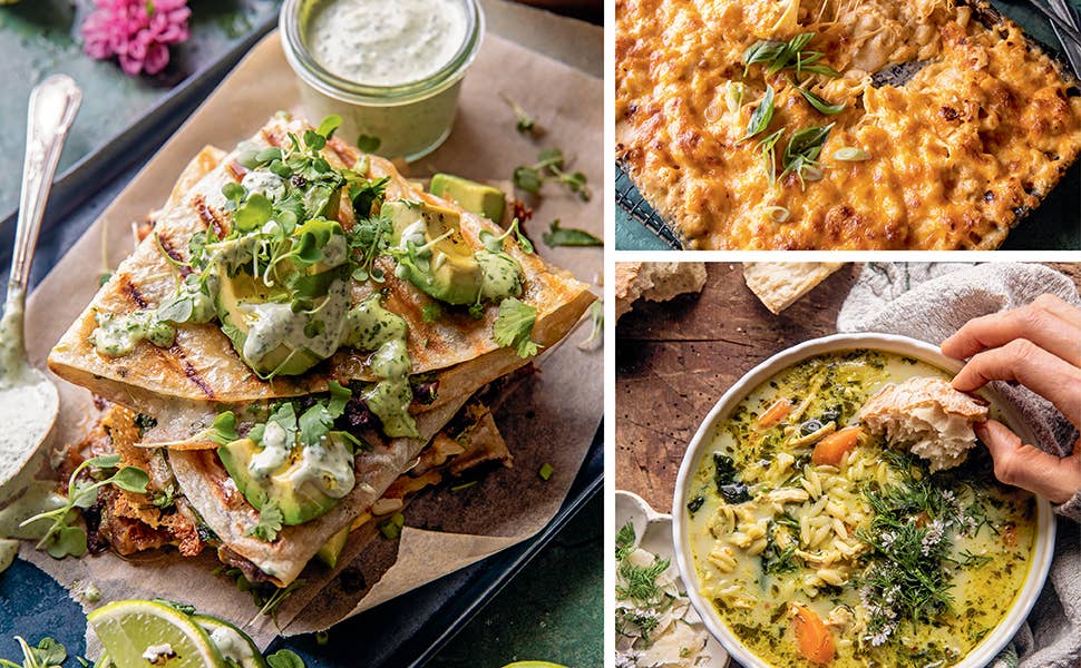 HALF BAKED HARVEST QUICK AND COZY