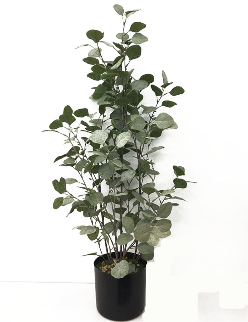 FAUX MONEY LEAF PLANT W/ POT 37"H - GREY IN STORE PICKUP ONLY!