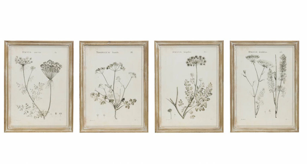 FRAMED WALL DECOR WITH BOTANICAL PRINTS - 4 STYLES - IN STORE ONLY!